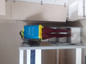 Cockroaches Eradication Completely