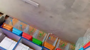 Birds -Cages