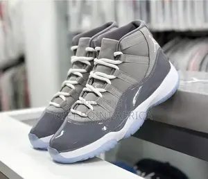 Air Jordan Cool Grey for Men