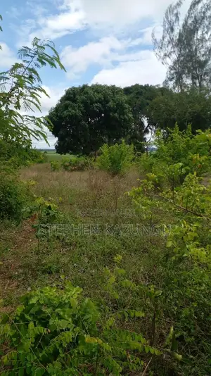 1/2 Acre Plot on Sale at Kinondo 200 Metres From Tarmac.