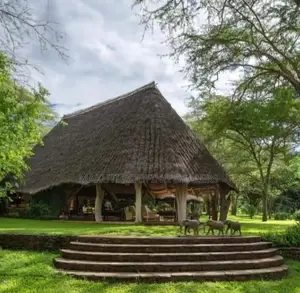 Makuti Suppliers and Makuti Roofing Fundi