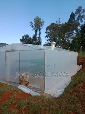 Solar Greenhouse Dryer
