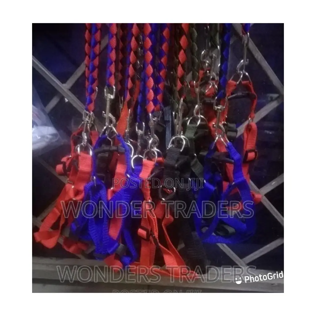 Dog Leash Dog Leash Available