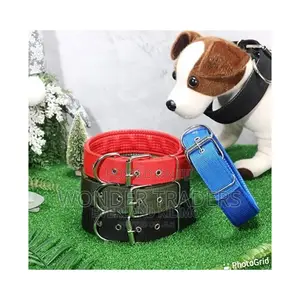 Dog Collar -Buckle Dog Collar