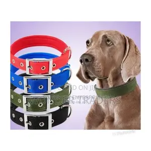 Regular Dog Padded Collar
