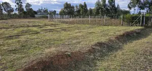 Prime Plots for Sale in Illula After Kapsoya in Eldoret