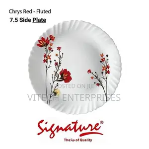 6 Piece Signature Dinner Plates