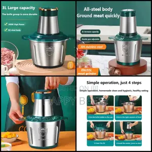 3lstainless Steel Multifunctional Electric Grinder