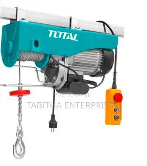 Electric Hoist 500kg