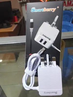 3.1 a Fast Charger for iPhones With 2 Extra Usb Slots