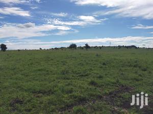 9acres Kitengela Ostrich Farm Price Per Acre