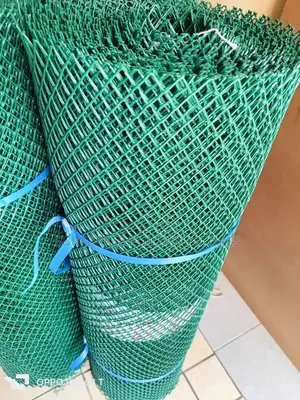 Plastic Chicken Wire Mesh-20mm