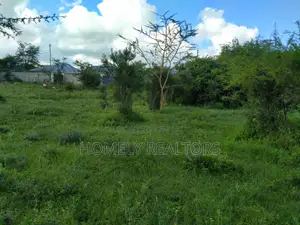 Quarter Acre Plot in Ongata Rongai, Nkoroi at Kanisani Area