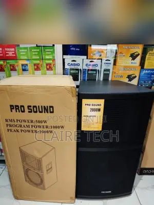 Pro Wooden Sound 15 Inch Speaker