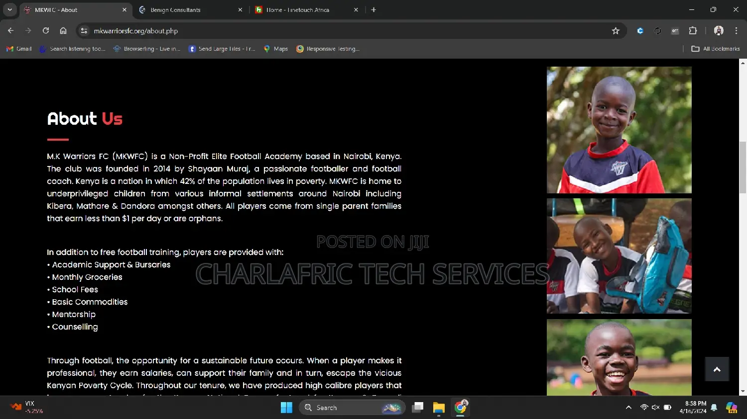 Web Systems/Website Designer Developer, It Manager