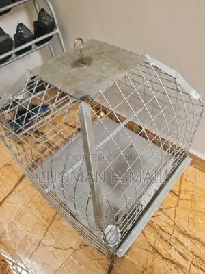 Steel Cage for African Grey Parrots