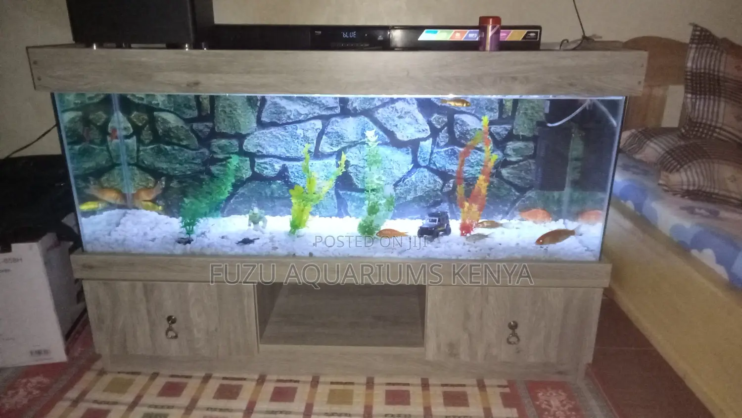 Sleek TV Stand Aquarium