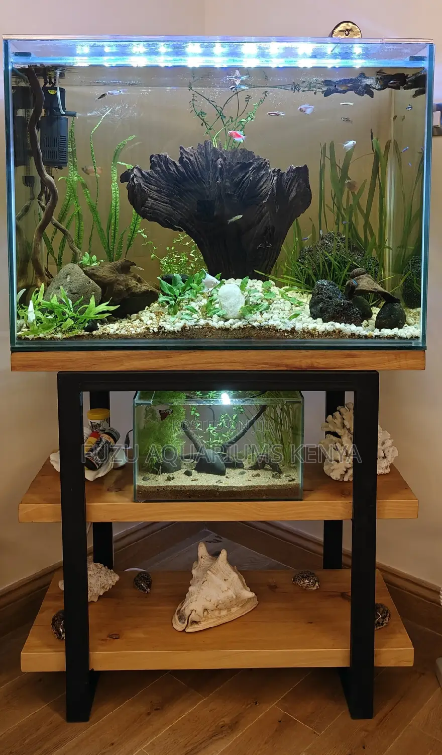 Live Planted Natural Aquarium