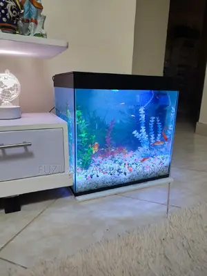 Kids Aquariums Fully Accessorized