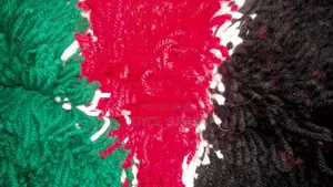 Smart Rugs