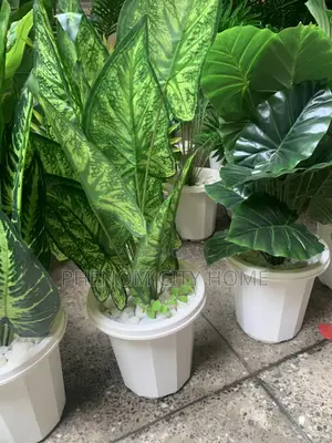Artificial Plants Available