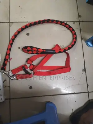 High Quality Nylon Dog Harness and Leash Double Layer