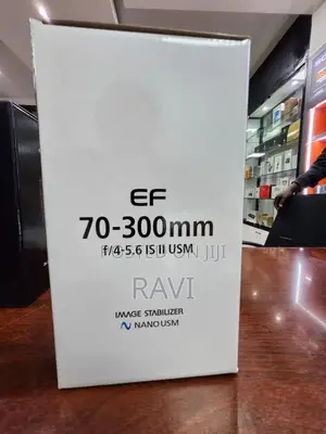 Canon EF 70-300 Lens
