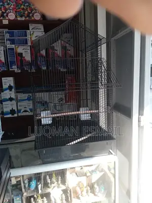 Budgies Cage