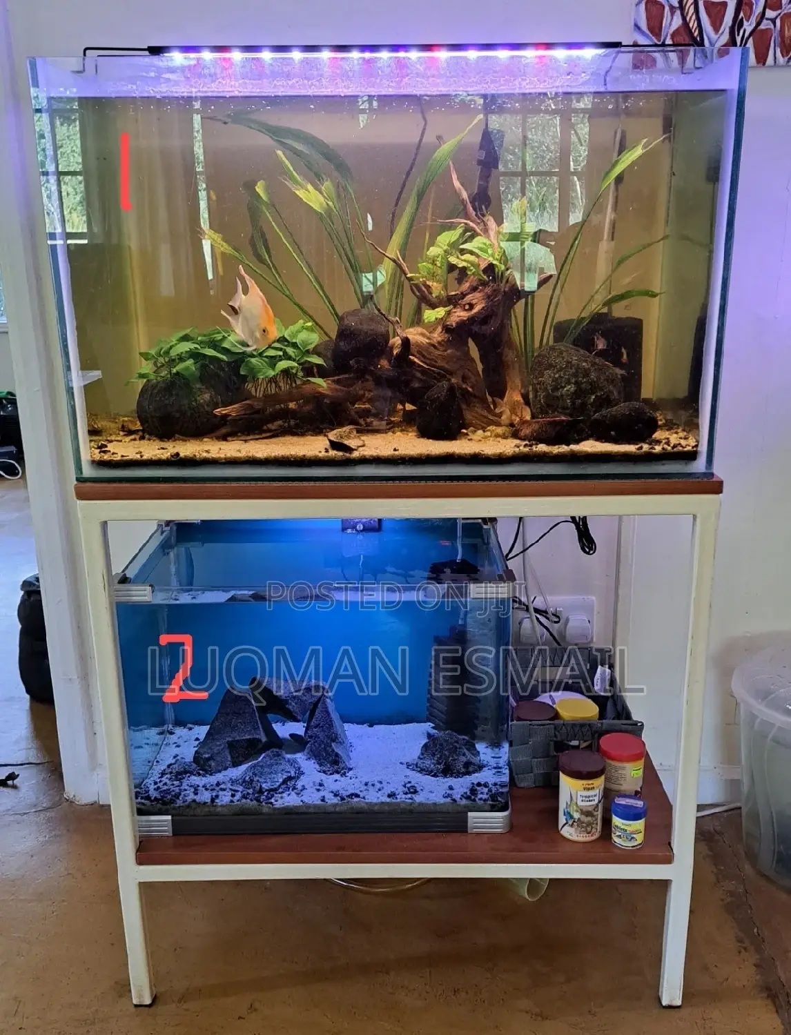 Fresh Water Aquariums