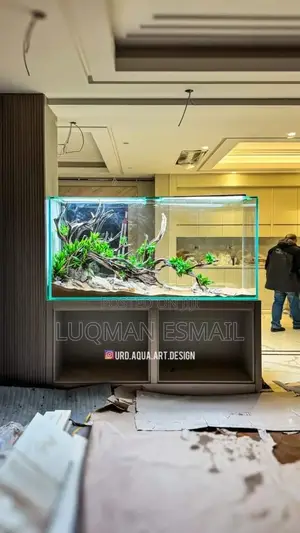 Large Expensive Aquariums