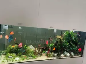 Large Expensive Aquariums