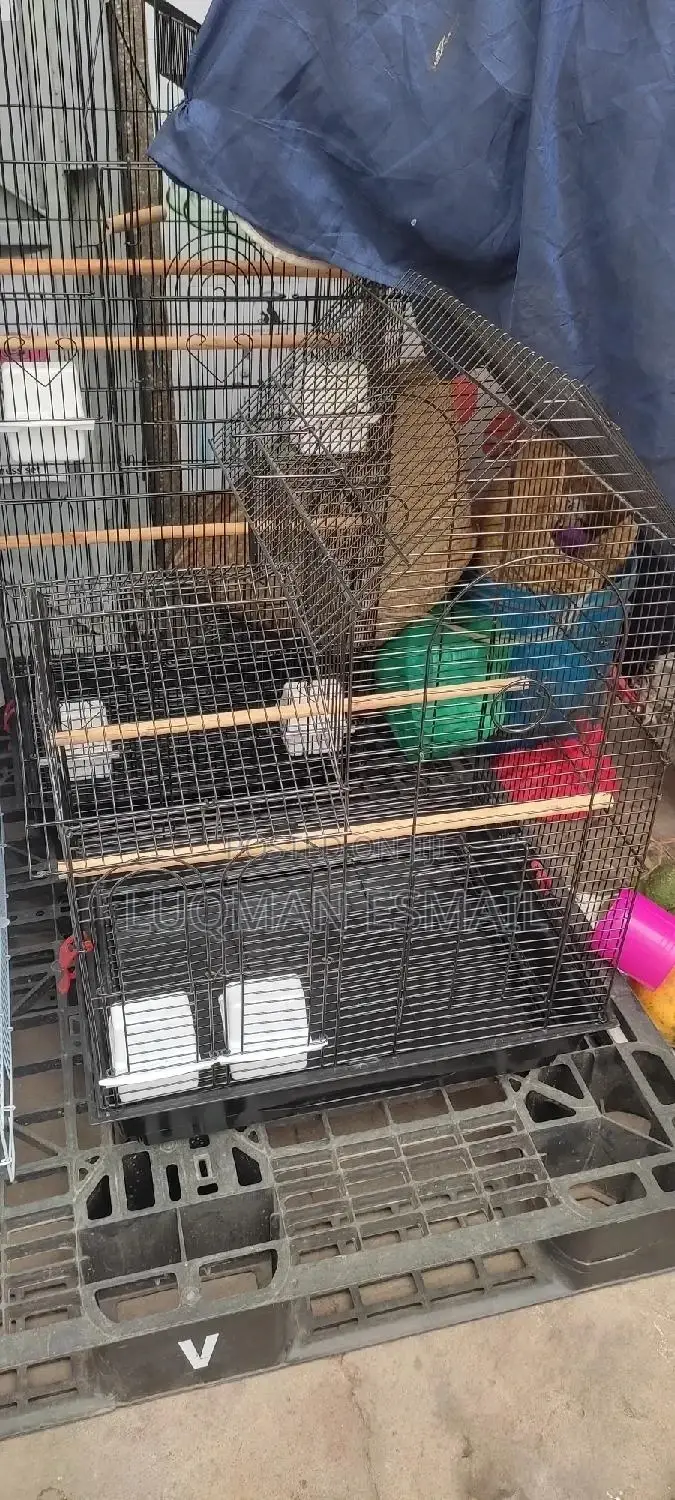 Cages for Birds