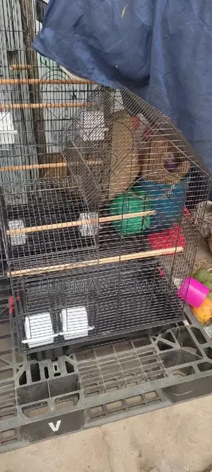 Cages for Birds