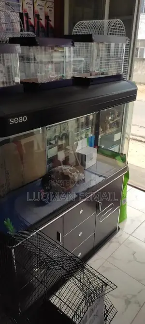 3 Feet Imported Aquarium