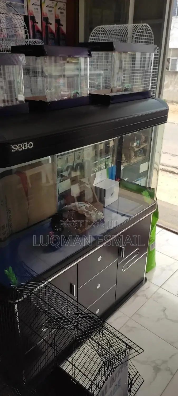 3 Feet Imported Aquarium