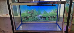 Aquarium Locally Assembled
