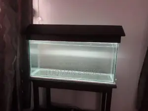 Simple Aquarium