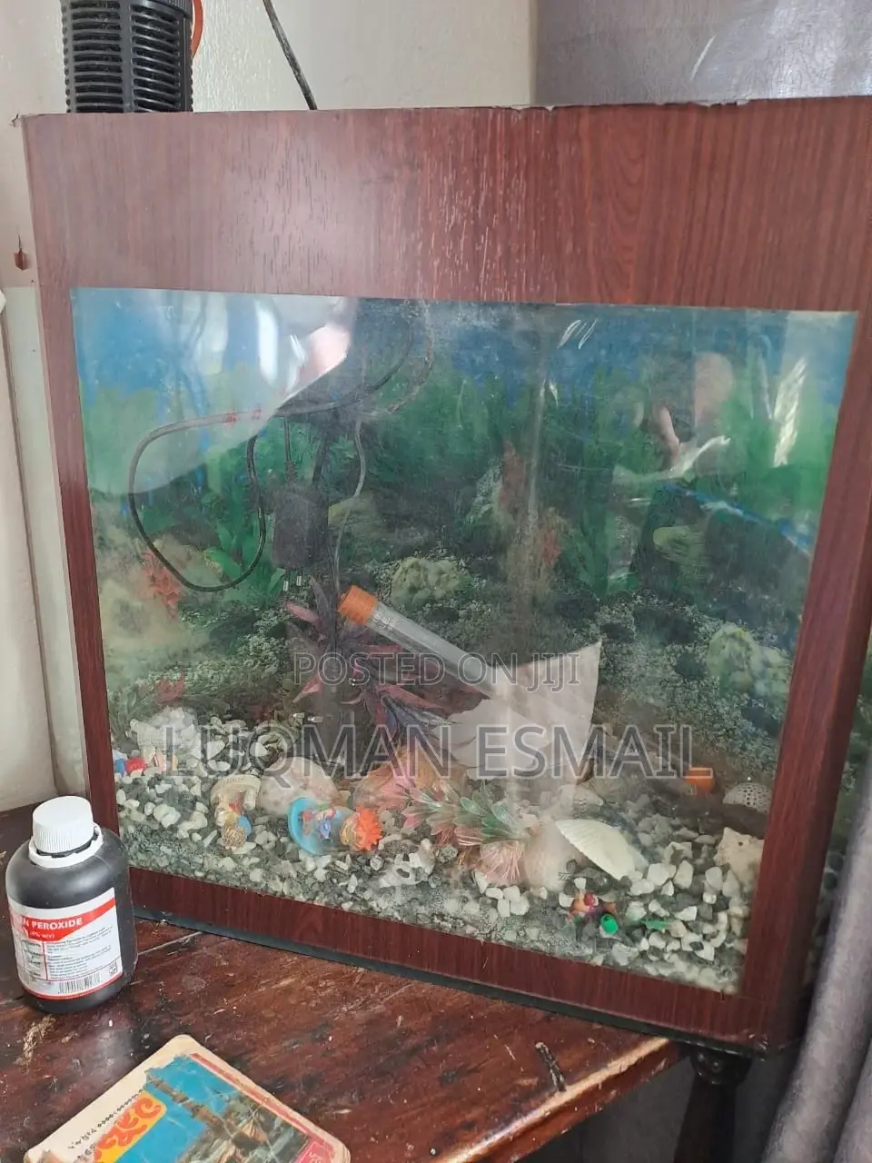 Small Aquarium