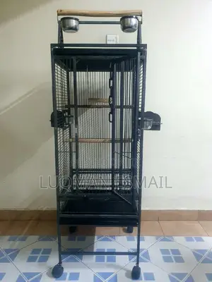 African Grey Parrot Cage