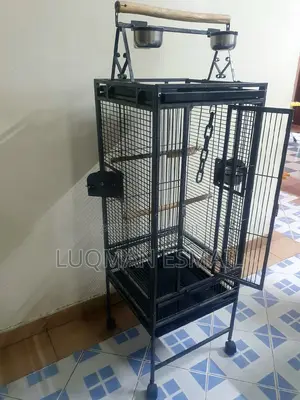 African Grey Parrot Cage