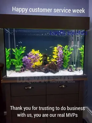 Customised Aquarium