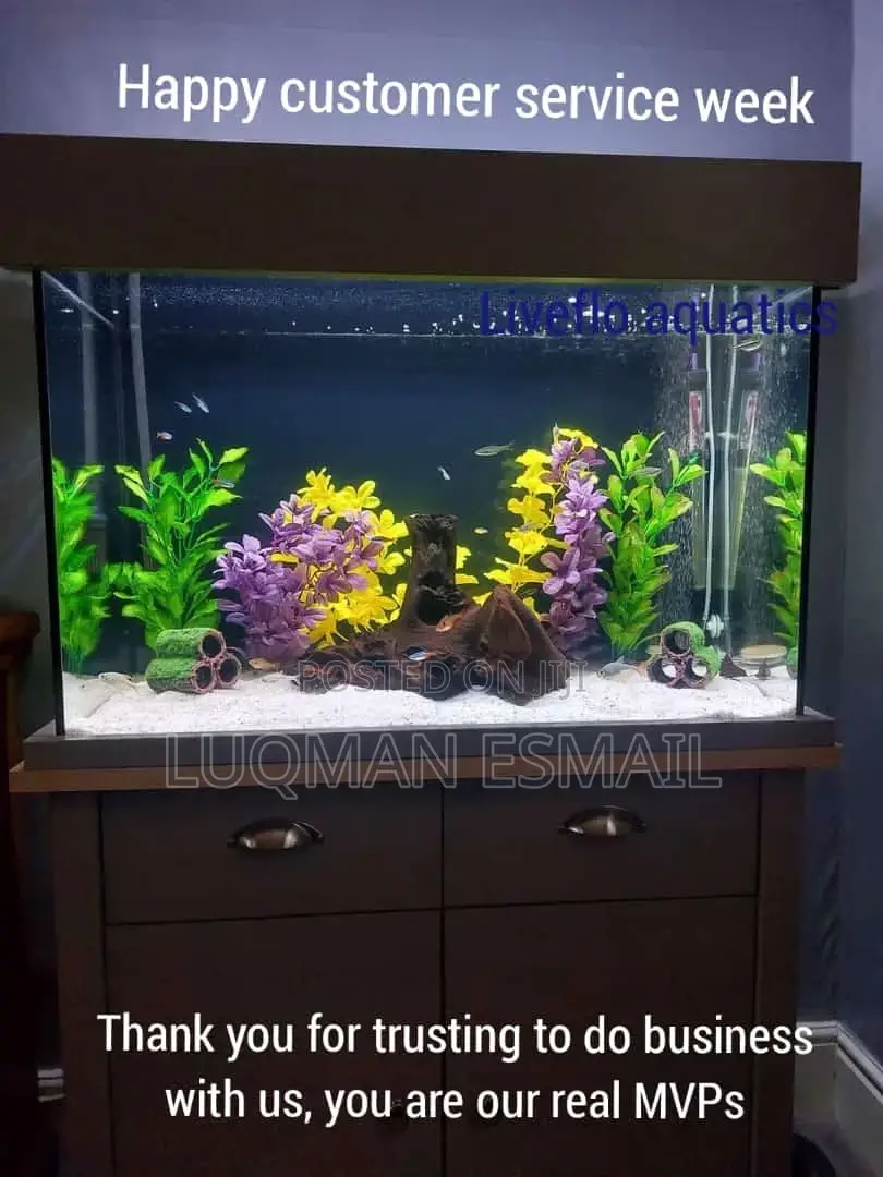 Customised Aquarium