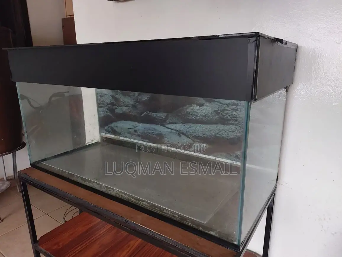 Customised Aquarium