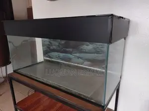 Customised Aquarium