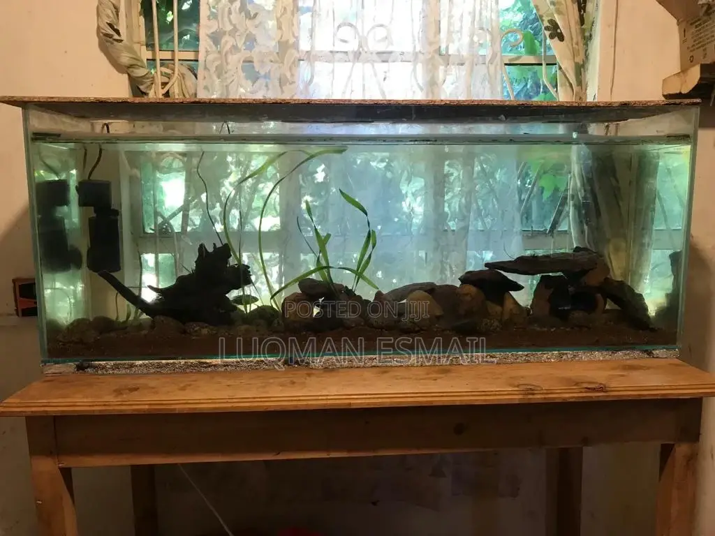 Aquarium for Office