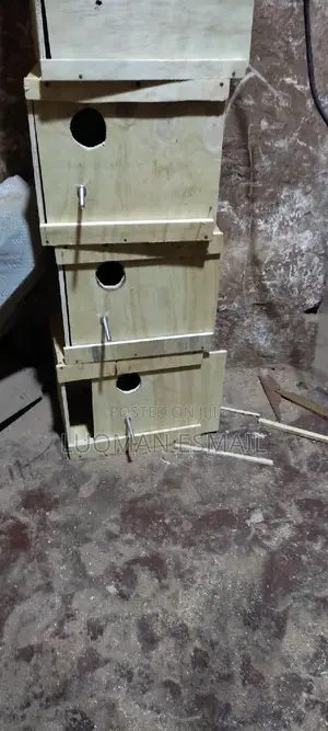 Rooms For Budgies And Love Birds.