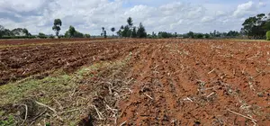 Prime 1⁄4 Plot for Sale Marura Sololo in Eldoret
