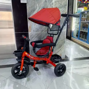 Tricycle With Canopy
Pushable Handle