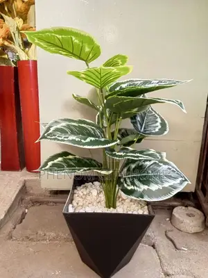 Artificial Plants Available
