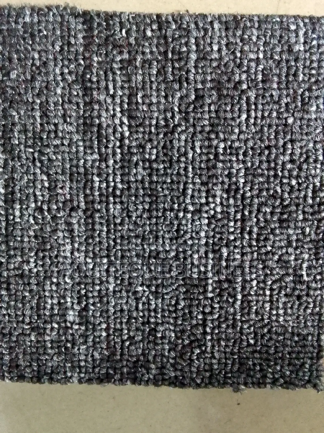 Wall to Wall Carpet Light Gray